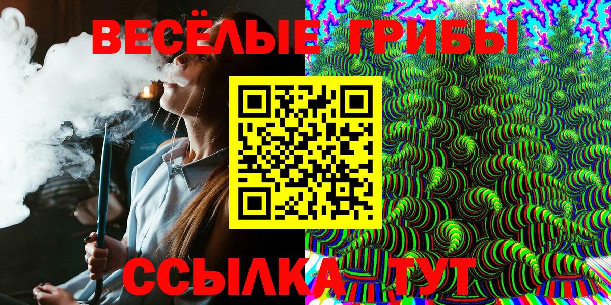 Ревда  Псилоцибиновые грибы ЛСД  Псилоцибиновые грибы прущие грибы  Вход с VPN 