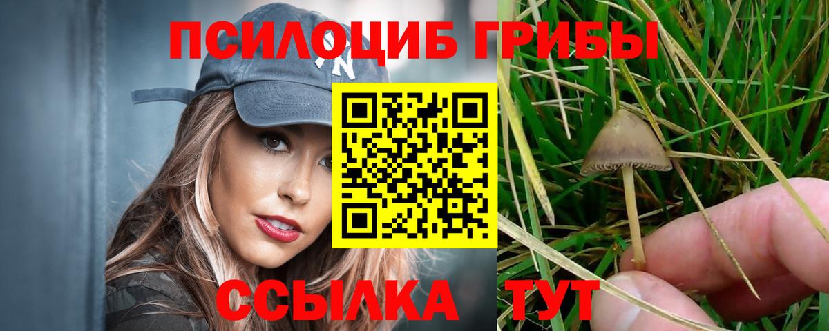 Галлюциногенные грибы Psilocybe Ревда